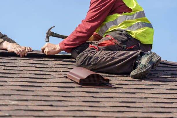 Best Metal Roofing Contractor  in Thonotosassa, FL
