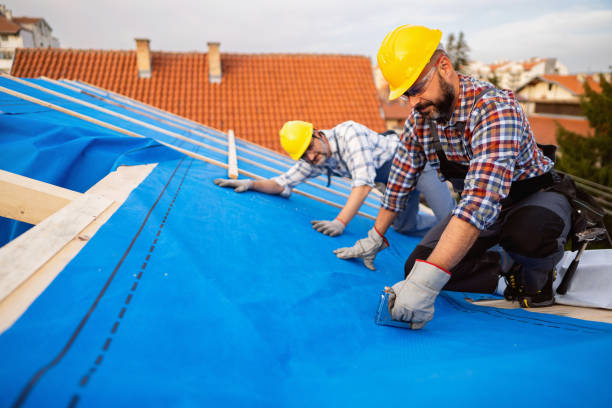 Residential Roof Replacement in Thonotosassa, FL