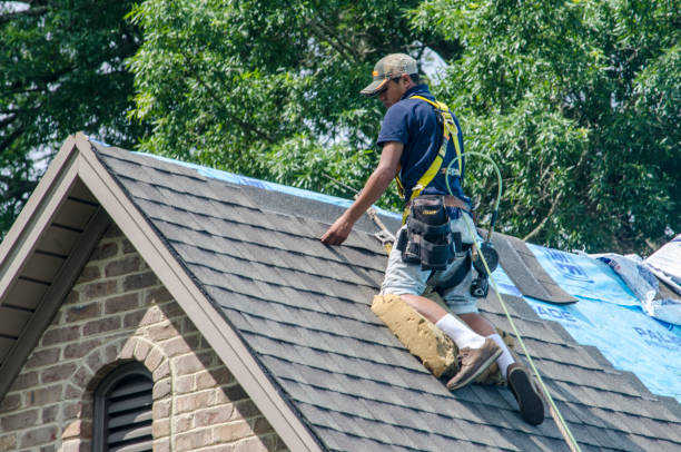 Best Gutter Installation and Roofing  in Thonotosassa, FL